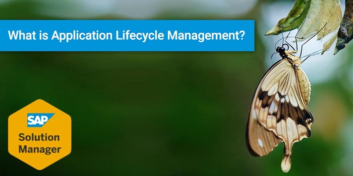 s-sap-blog-what-is-alm